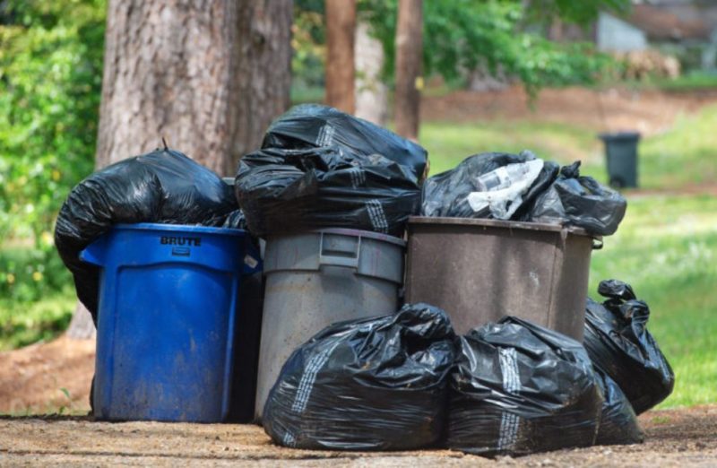Lisa est sortie jeter les poubelles lorsqu'elle a vu le retraité Léo avec d'énormes sacs de nourriture la fille bavait et s'approcha