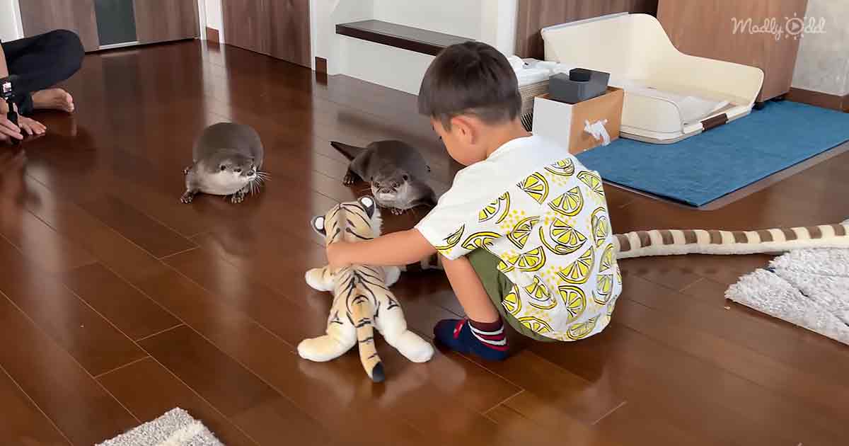 Les enfants insouciants et les petits bébés veulent jouer avec des loutres curieuses