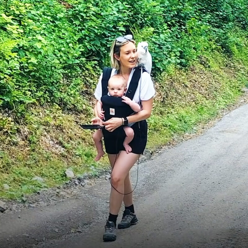 Un cacatoès attentionné et un adorable petit garçon deviennent les meilleurs amis du monde