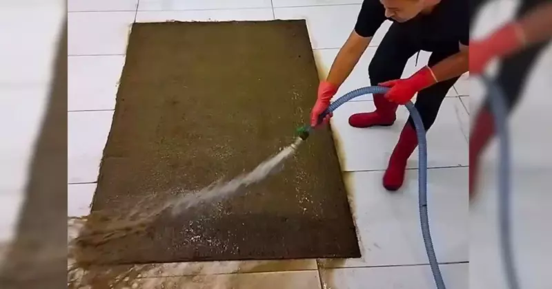 Un homme redonne vie à un vieux tapis persan après qu'il n'ait pas été nettoyé depuis un demi-siècle