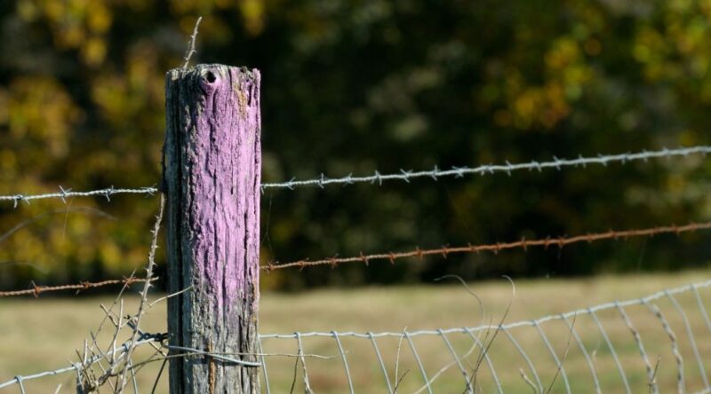 Découvrez la signification d'un poteau de clôture peint en violet : la raison vous surprendra vraiment