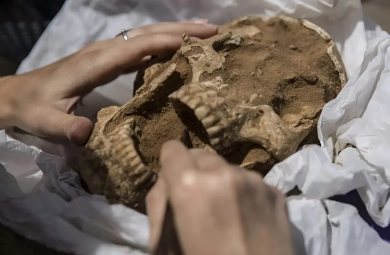 Les scientifiques ont enfin ouvert la tombe de Goliath et regardez ce qu'ils ont découvert