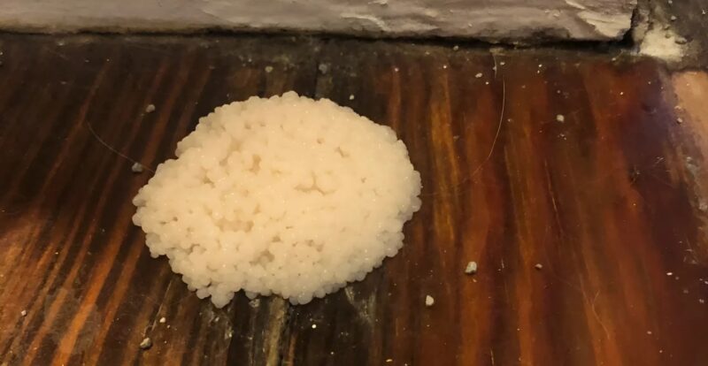 J'ai vu cette chose étrange dans la cuisine de mes grands-parents : voilà de quoi il s'agissait