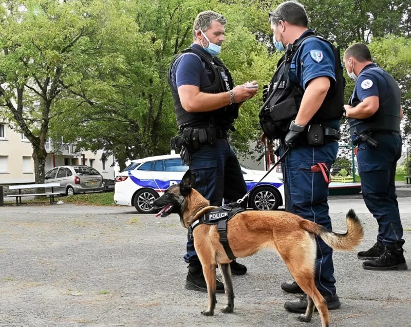 La petite fille pleurait en murmurant : "Il a dit qu'il ne me ferait pas de mal, " après l'avoir amenée à l'hôpital, un chien policier a découvert une vérité terrifiante